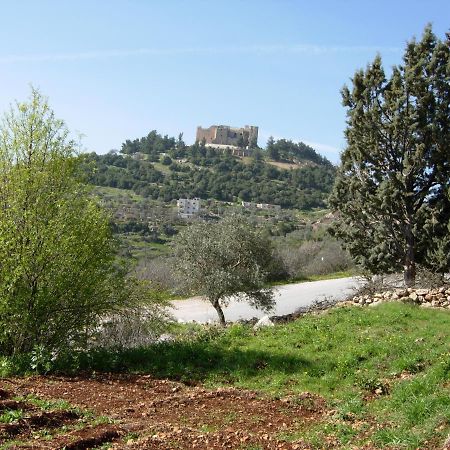 Ajloun Hotel エクステリア 写真
